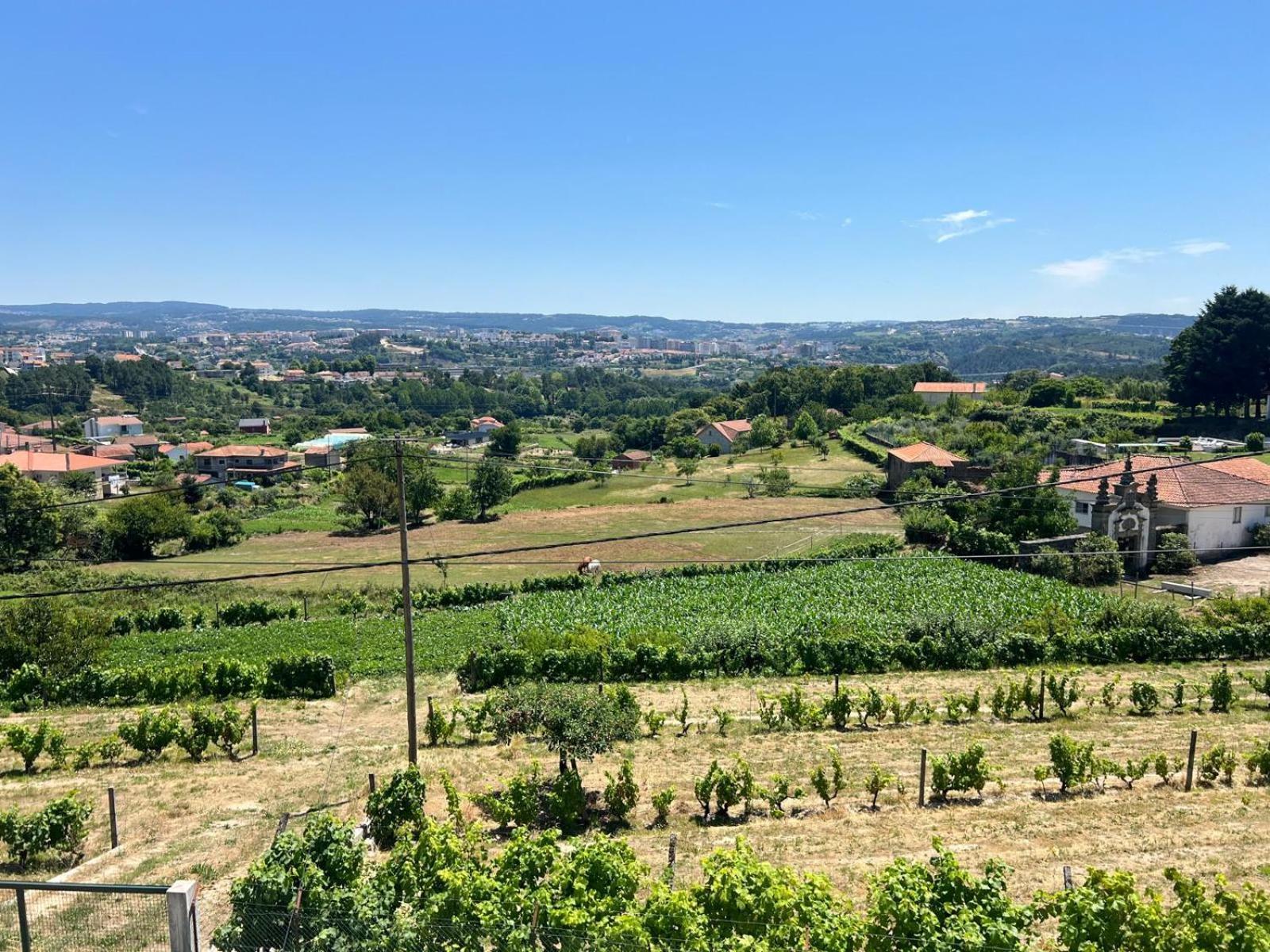 Casa Machado Villa Vila Real Ngoại thất bức ảnh